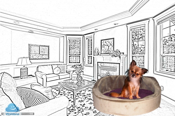 Hundekorb, Alles für den Hund, Hundebett Aschaffenburg, Exklusive Hundebetten